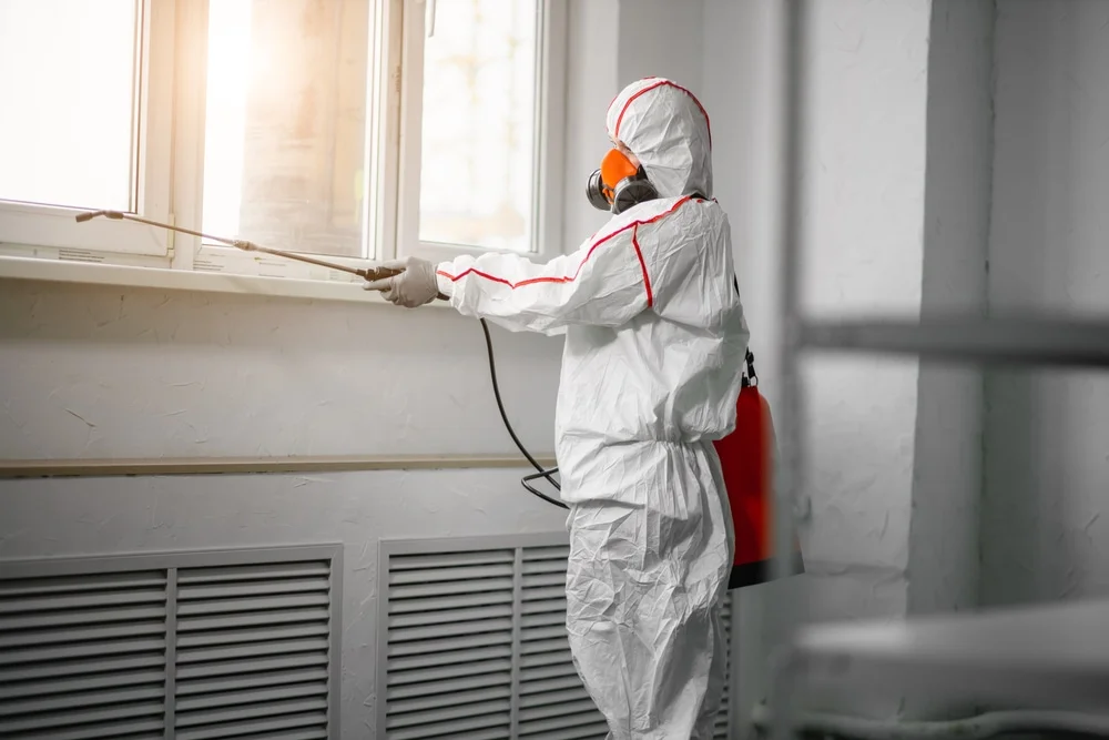 Professional mold remediation services in Crystal River, FL